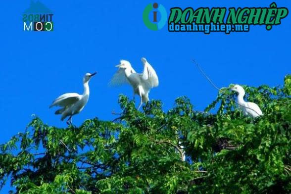 Ảnh về Doanh nghiệp tại Sóc Trăng