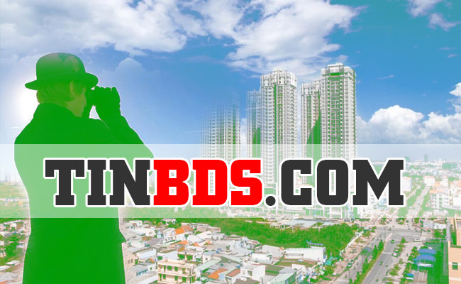 tinbds.com